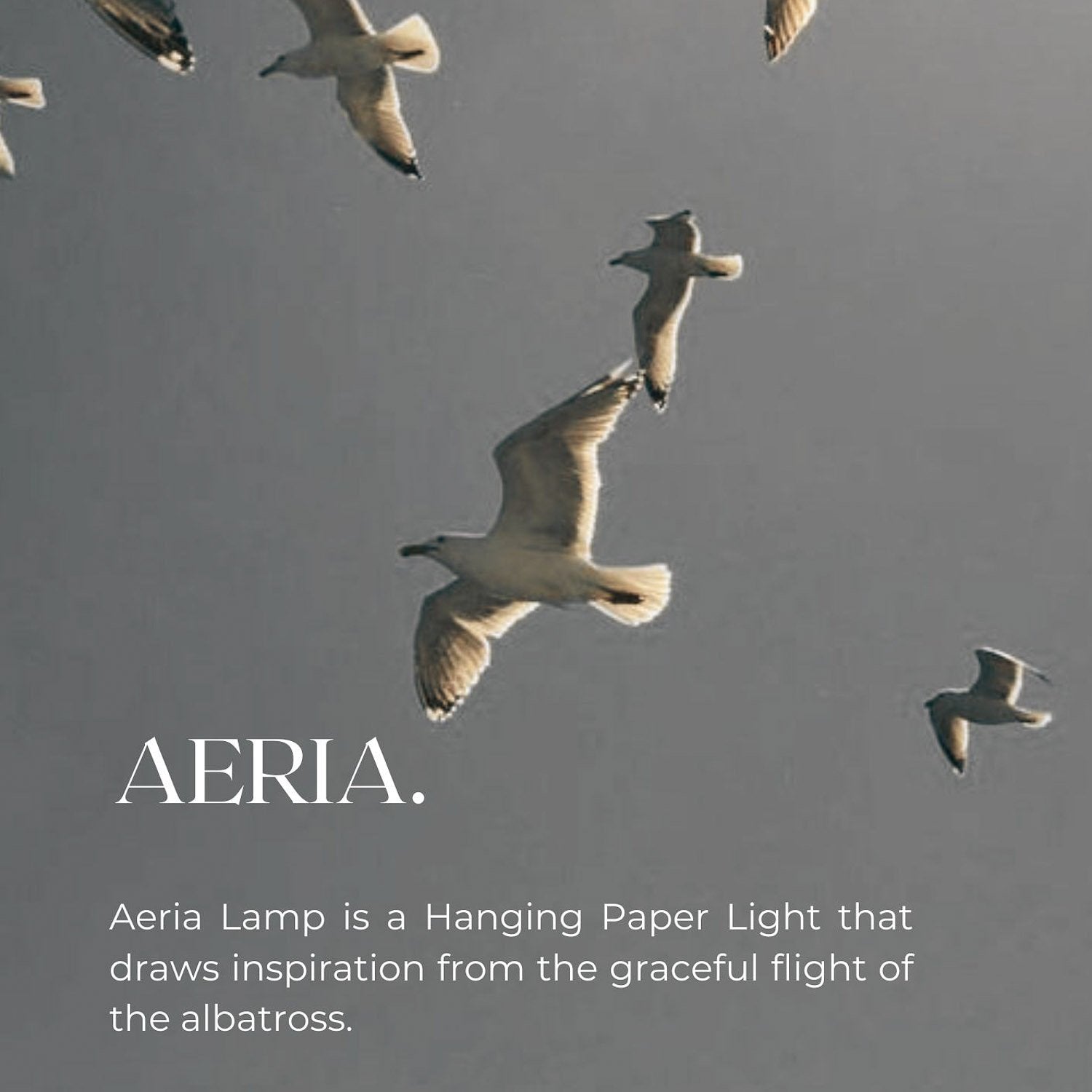 AERIA Modern Pendant Lighting for Kitchen Island