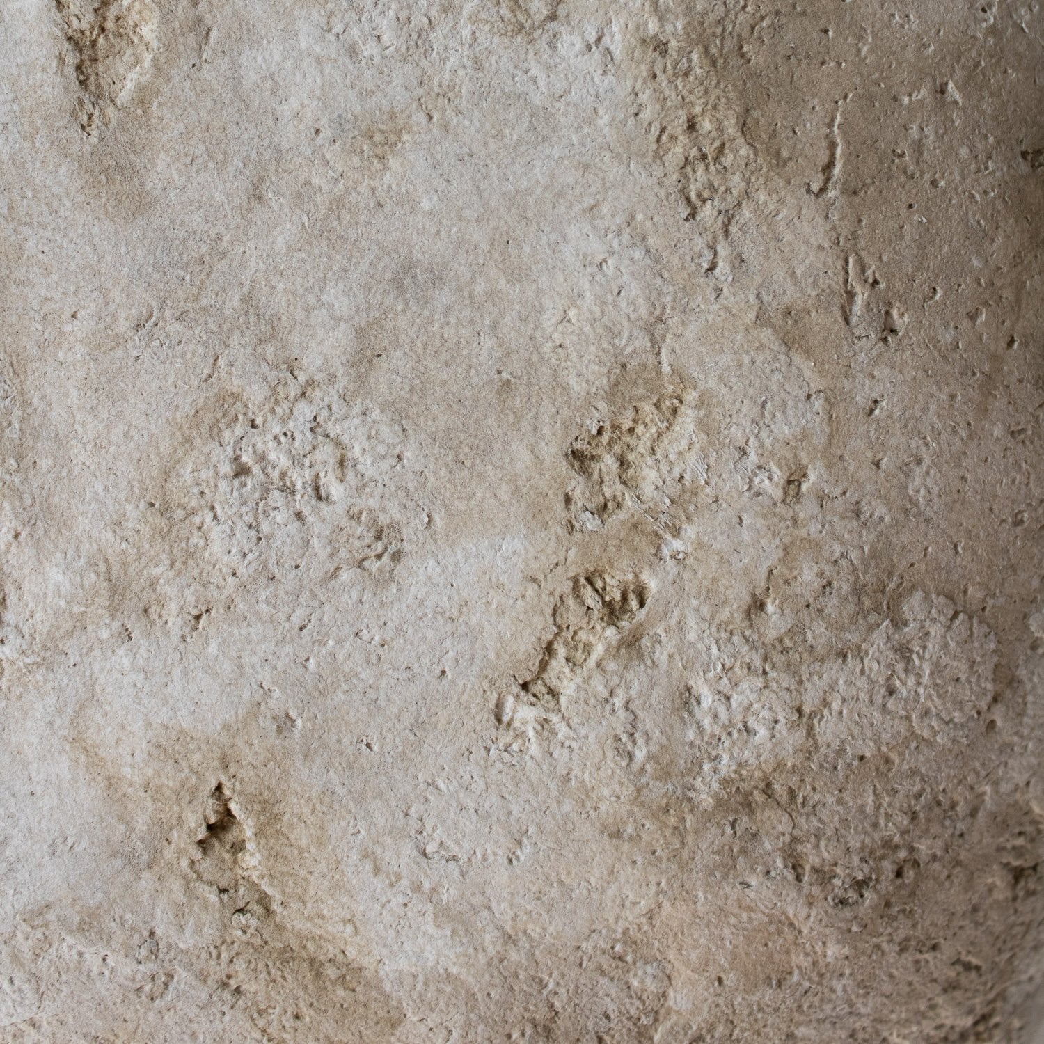 SHELLE - Paper Mache Wall Lamp