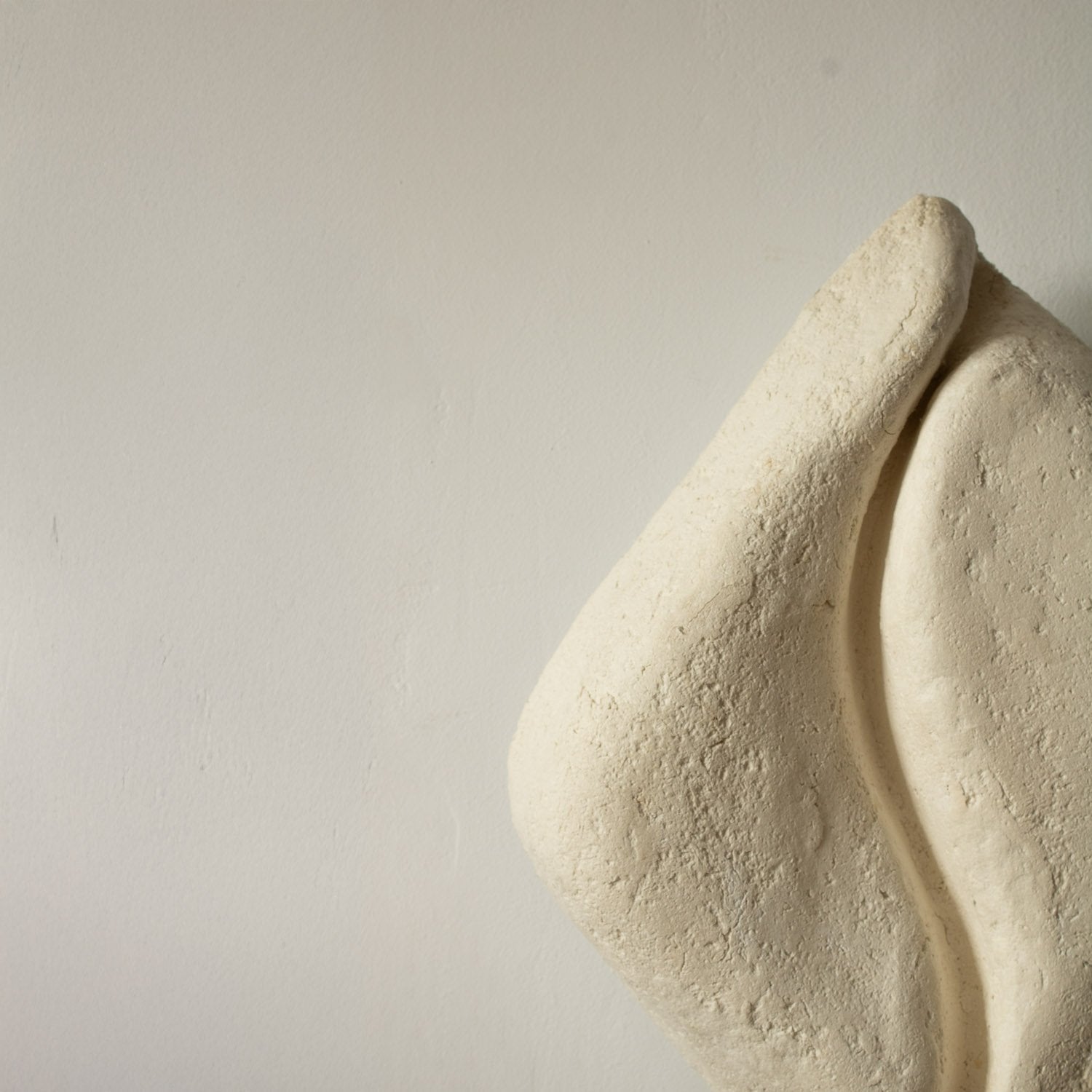 SERICA - Sculptural Wall Light